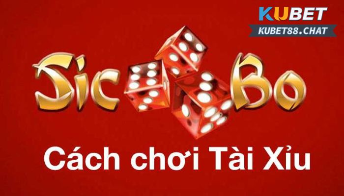 Những kiểu cược Tài xỉu Kubet được nhiều người biết đến